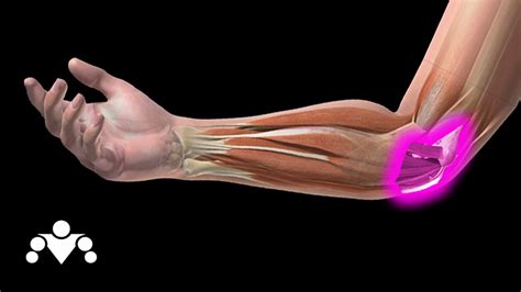 Неврология - причины и лечение боли в локтевом суставе